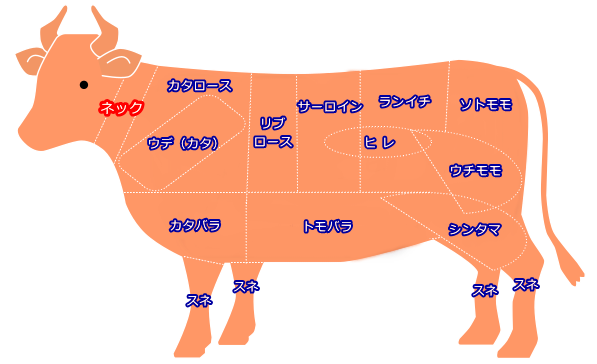 牛肉の部位図