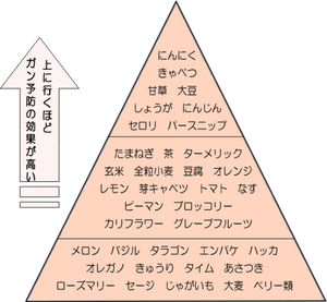 がん予防効果が期待される食品ピラミッド