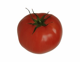 リコピンが豊富なトマト