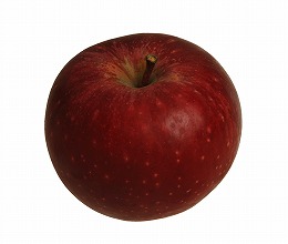 りんご品種北紅
