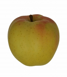 りんご品種トキ