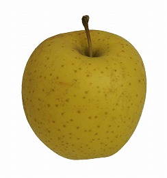 りんご品種金星
