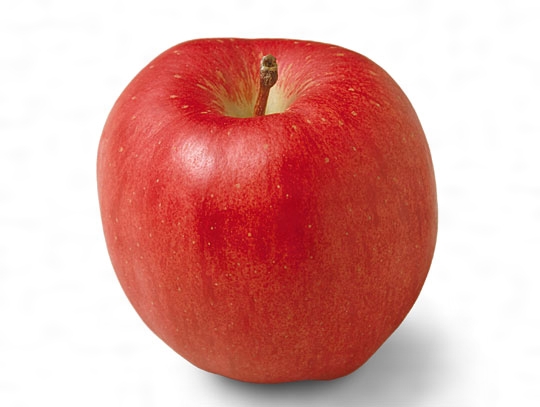 りんご品種印度