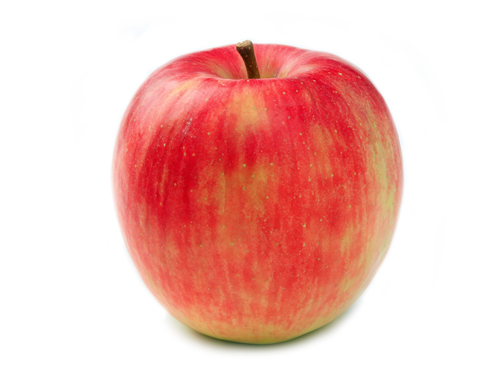 りんご品種シナノドルチェ