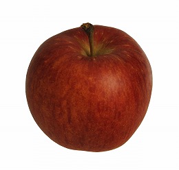 りんご品種未希ライフ