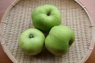 りんご品種ブラムリー