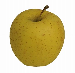 りんご品種金星
