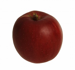 りんごの種類・品種紅玉
