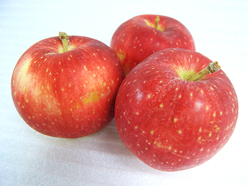 りんご品種紅ロマン