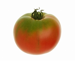 丸玉トマト