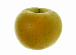 りんご品種ゴールデンデリシャス