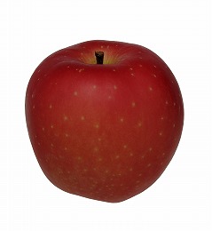りんご品種陸奥