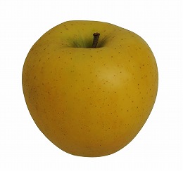 りんご品種シナノゴールド